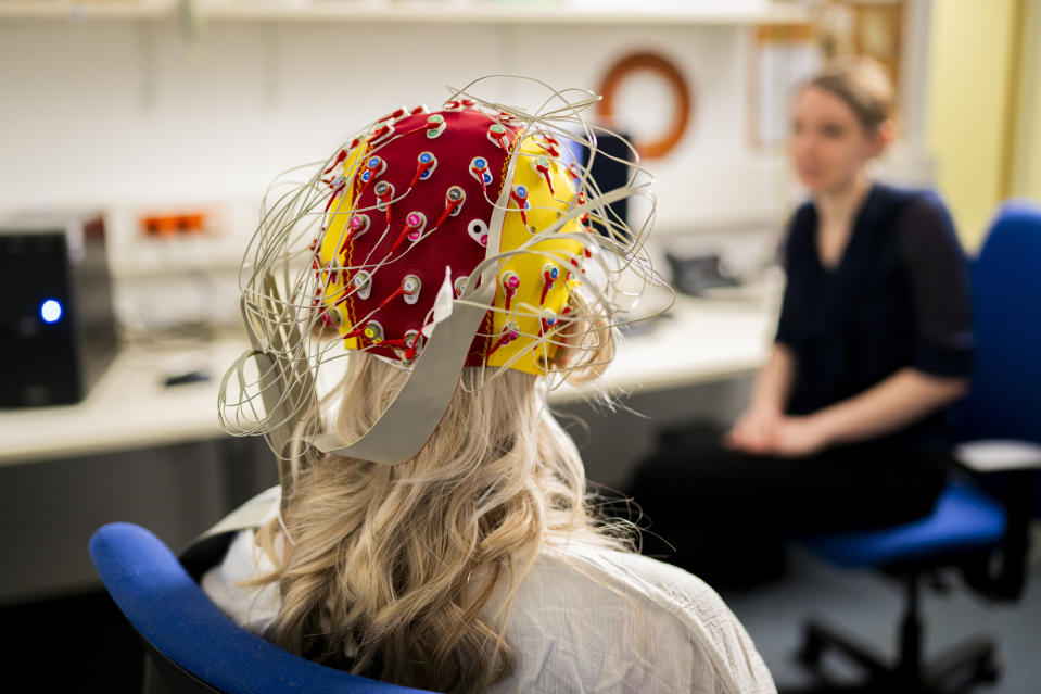 April 29, 2024, Thuringia, Jena: A guinea pig wears an EEG cap with electrodes for EEG measurement.  On July 6, 2024, electroencephalography (EEG), tested for the first time on humans in Jena, will celebrate its 100th anniversary.  The procedure measures the electrical activity of the brain and displays it graphically.  Photo: Jacob Schröter/dpa (Photo by Jacob Schröter/picture Alliance via Getty Images)