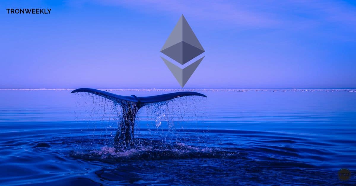 $18M Binance Withdrawal of Ethereum Whale Sparks Major DeFi Investment Moves