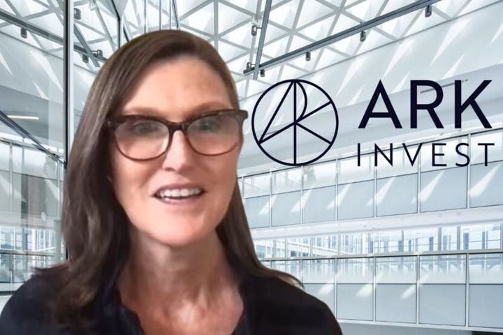 ARK Invest's Cathie Wood Gets These Three Bargains - Are They Right for Your Portfolio?