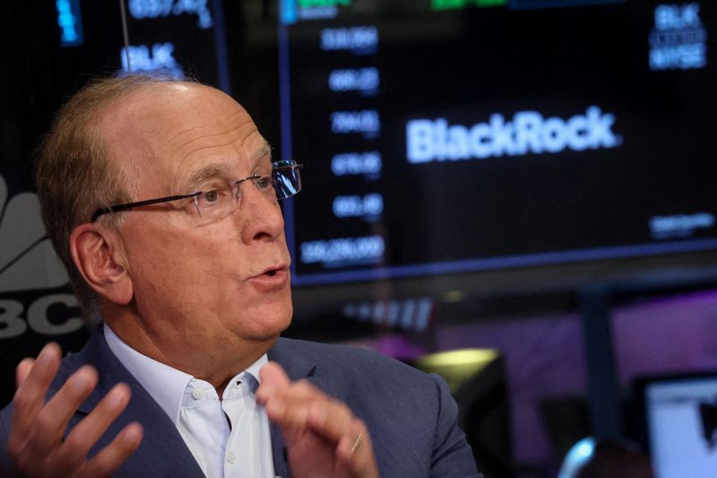 BlackRock negotiates with governments on investments to leverage AI