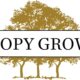 Canopy Growth Reports Fourth Quarter and Fiscal Year 2024 Financial Results; Q4 FY2024 Net Revenue increased 7% year-over-year, or 16% excluding divested businesses