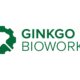 Ginkgo Bioworks Reports First Quarter 2024 Financial Results