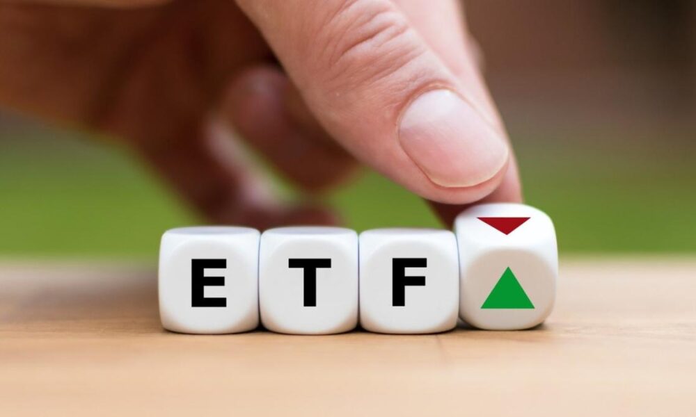 Can the Vanguard ESG US Stock ETF be your only stock holding?