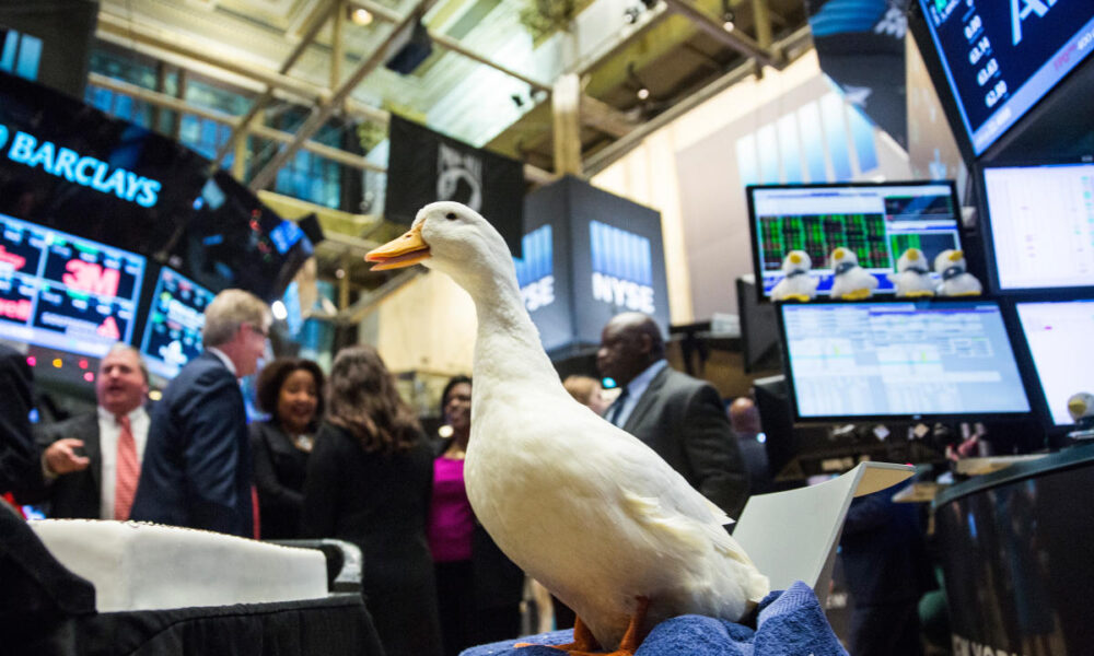 How Aflac CEO Dan Amos Turned an Insurance Company Into an International Name