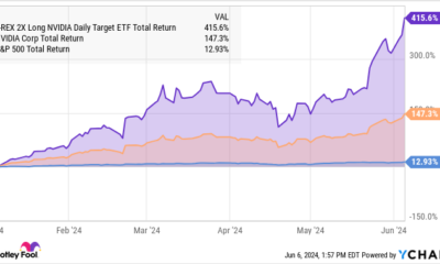 Motley Fool