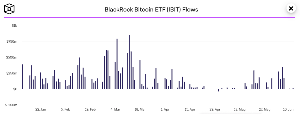 blackrock ibit flux bitcoin etfs