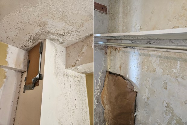 Tracey Jones, a resident of 2569 7th Ave., says her apartment has been afflicted with leaks which led to mold and disgusting odors.