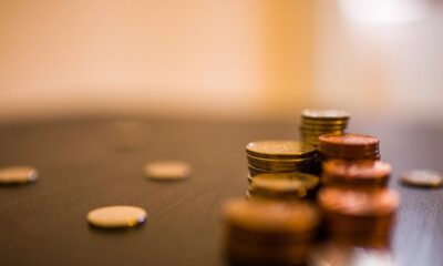 ETFs boost capital inflows to Article 6 funds, says EFAMA |  News