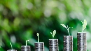 tree growing on a stacking piece with green bokeh background;  growth stocks