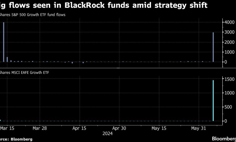 BlackRock model shakeup spurs $4 billion surge in growth stock ETFs