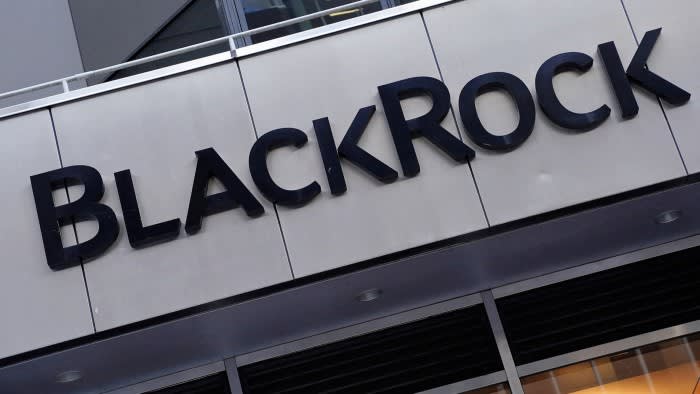 BlackRock supports effort to take pensions beyond ESG