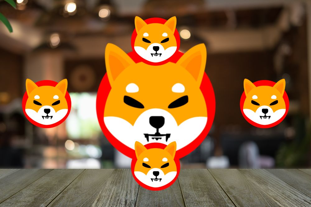 Top DeFi Analyst Says Shiba Inu (SHIB) Is Destined to Make It. Here