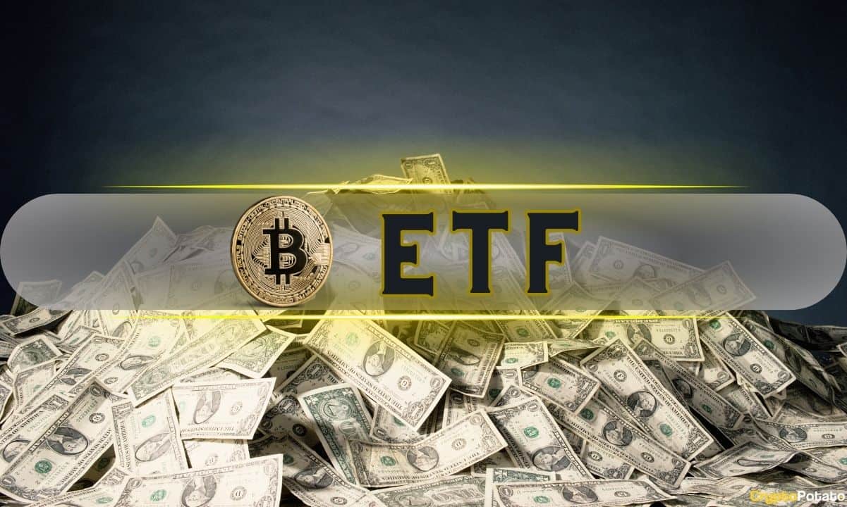 US Bitcoin Spot ETFs See Longest Inflow Streak Since February