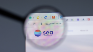 The Sea Limited logo is visible in a web browser through a magnifying glass.