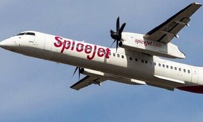 SpiceJet faces fresh financial crisis over non-payment of pension fund dues | Company News