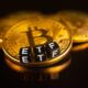 Bitcoin ETF Fund Inflows Indicate Lower Long-Term Volatility