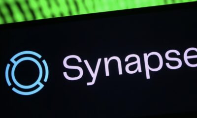 "It's Always a Black Box": The Ordeal of a Fintech Working with Synapse