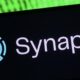 "It's Always a Black Box": The Ordeal of a Fintech Working with Synapse