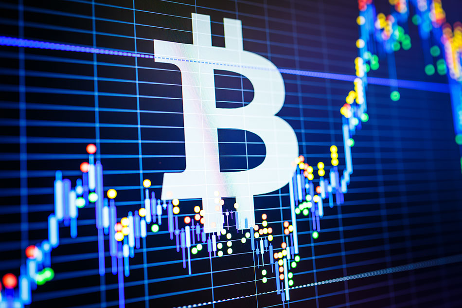 Majority of Major US Hedge Funds Now Invest in Bitcoin ETFs