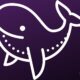 Mega Whale Moves $50M Worth of Ethereum as Spot ETH ETFs Move Closer to Listing ⋆ ZyCrypto