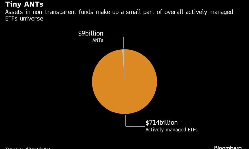 Wall Street's Black Box ETFs Snubbed in $136 Billion Active Boom